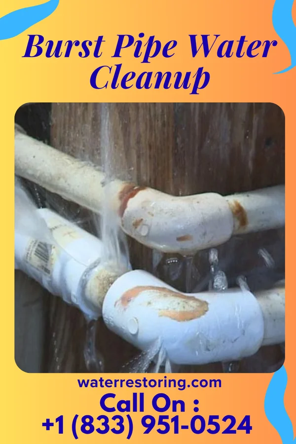 Burst Pipe Water Cleanup in New Cumberland, WV