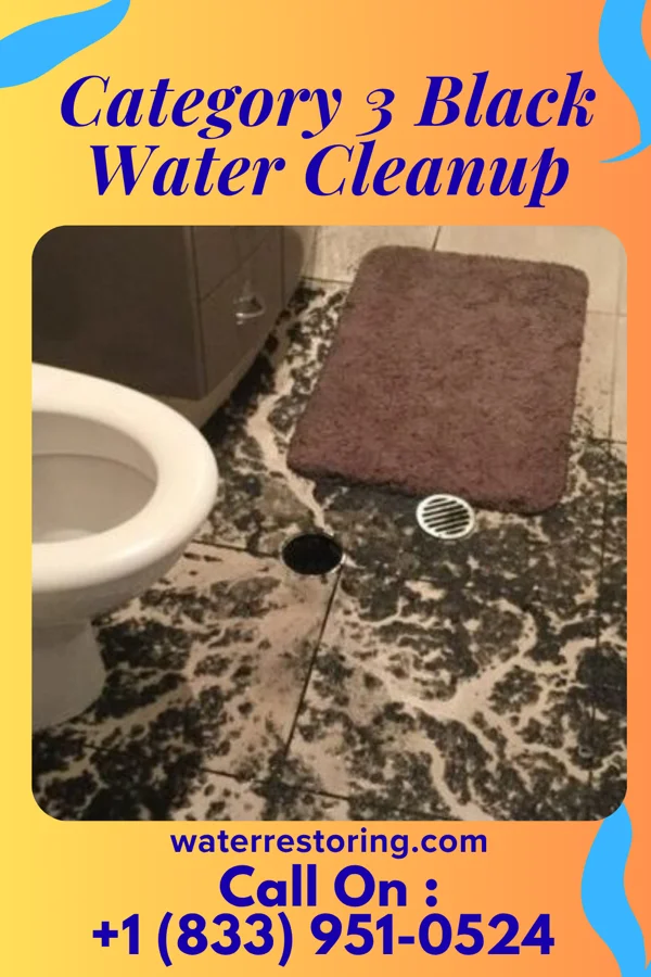 Category 3 Black Water Cleanup in New Cumberland, WV