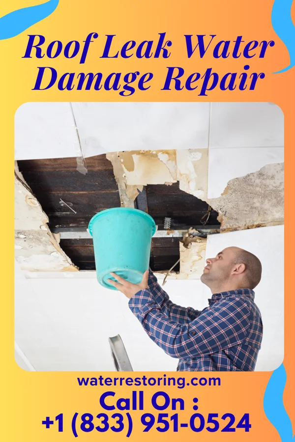 Roof Leak Water Damage Repair in New Cumberland, WV