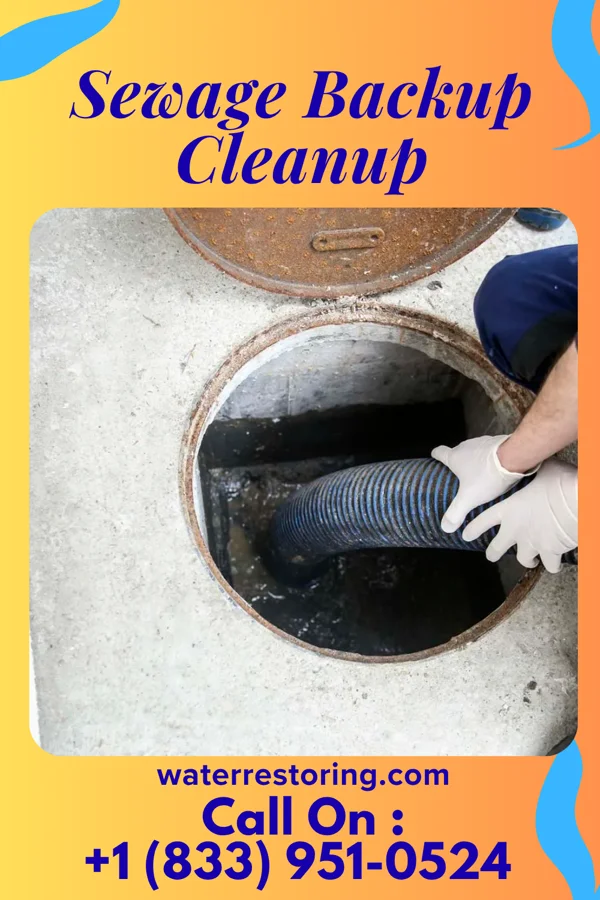 Sewage Backup Cleanup in New Cumberland, WV
