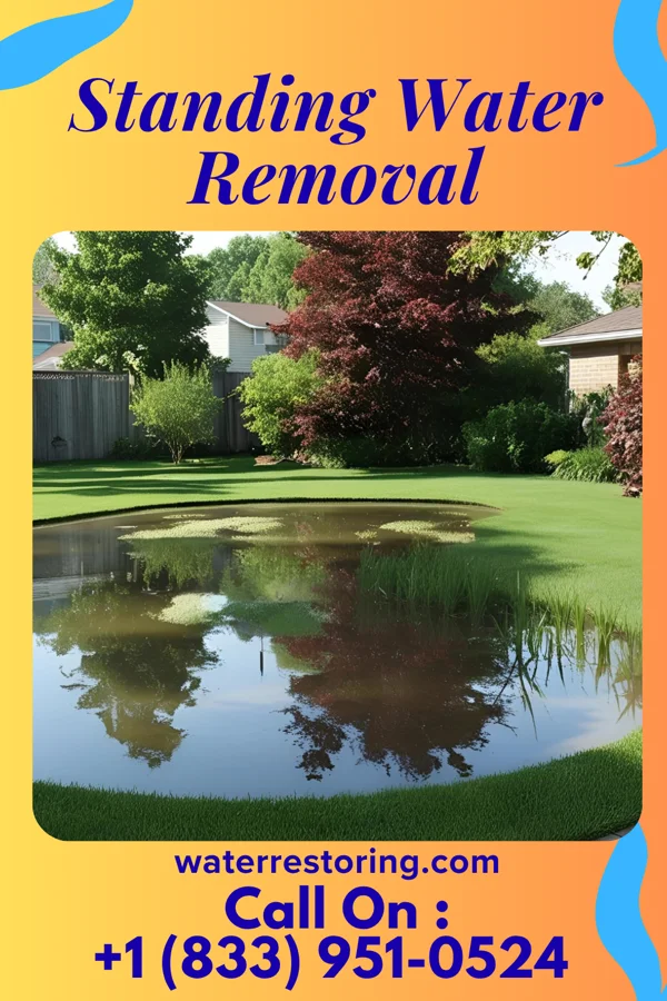Standing Water Removal in New Cumberland, WV
